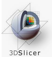 Download 3D Slicer